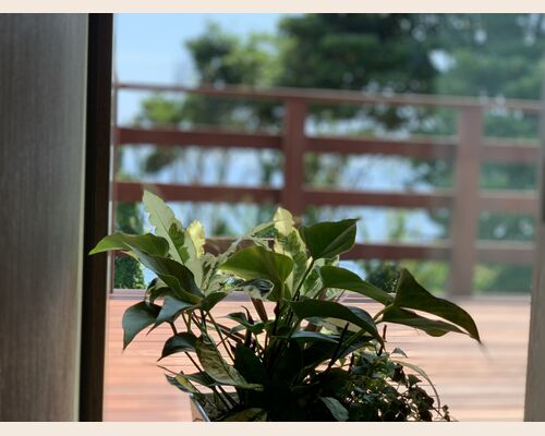 日立の大甕にある美容室で海を見ながら過ごすひと時【unfi'oceanアンフィオーシャン】